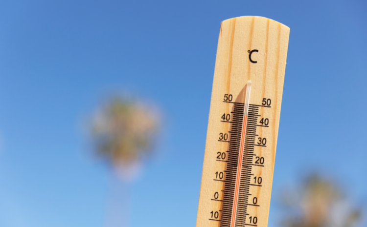 Во вторник в Рязанской области ожидается 30-градусная жара