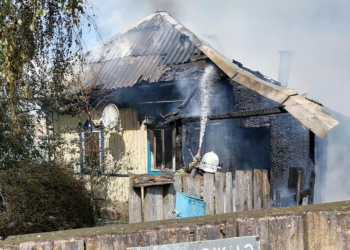 В Пителинском районе сгорел дом многодетной семьи В Пителинском районе сгорел дом многодетной семьи