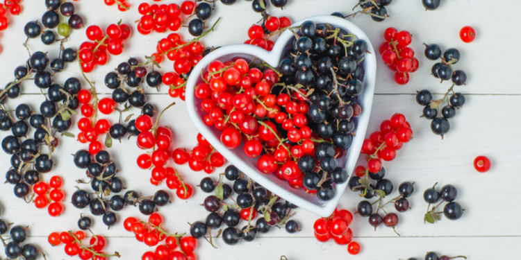 Рязанский Россельхознадзор выявил превышение уровня пестицидов в смородине Рязанский Россельхознадзор выявил превышение уровня пестицидов в смородине