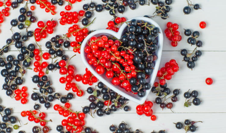 Рязанский Россельхознадзор выявил превышение уровня пестицидов в смородине