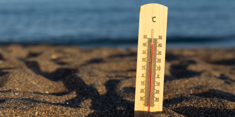 МЧС: 31 июля и 1 августа в Рязанской области ожидается аномальная жара МЧС: 31 июля и 1 августа в Рязанской области ожидается аномальная жара