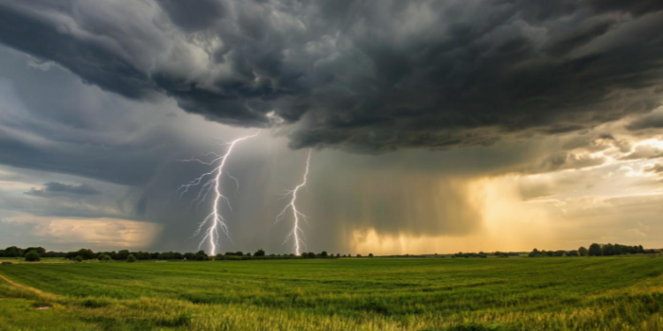 В пятницу в Рязанской области ожидается гроза и до +31 градуса