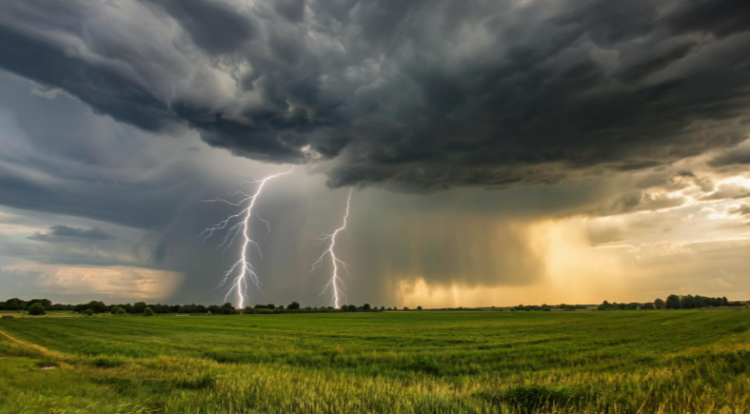 В пятницу в Рязанской области ожидается гроза и до +31 градуса