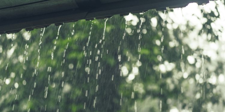 В субботу в Рязанской области ожидается дождь и до +27 градусов