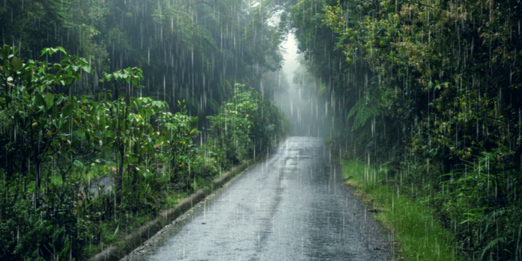 Метеоролог Михаил Леус предупредил россиян о возвращении дождей в предстоящие выходные