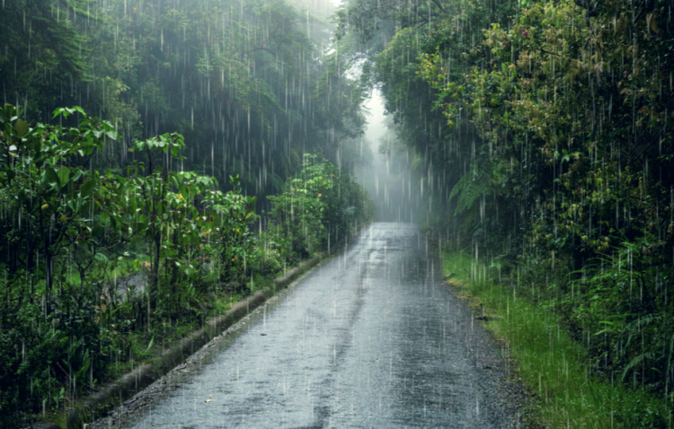 Метеоролог Михаил Леус предупредил россиян о возвращении дождей в предстоящие выходные