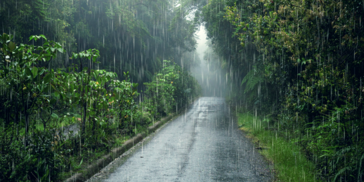 Синоптик Евгений Тишковец предупредил россиян о надвигающихся аномальных дождях с юга