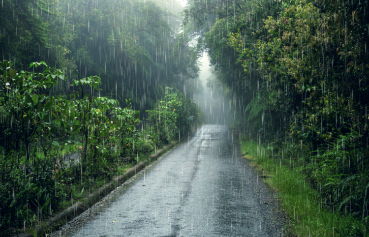 Синоптик Евгений Тишковец предупредил россиян о надвигающихся аномальных дождях с юга