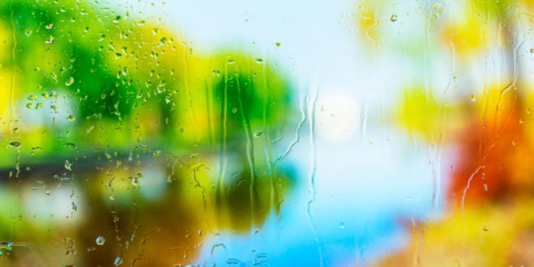 В среду в Рязанской области ожидается небольшой дождь и до +29 градусов