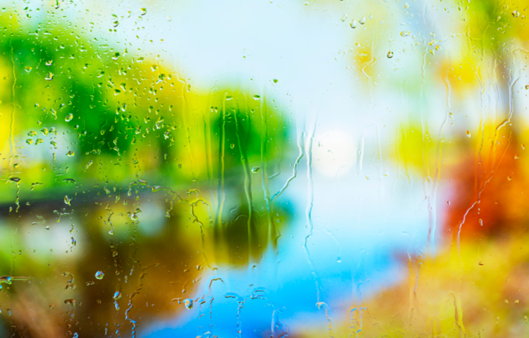 В среду в Рязанской области ожидается небольшой дождь и до +29 градусов