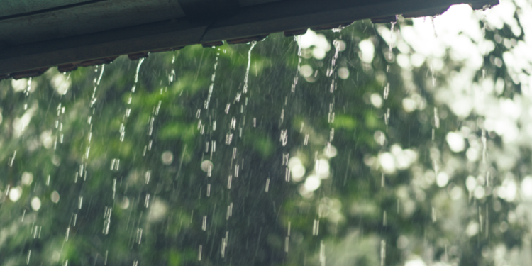 В четверг в Рязанской области ожидается кратковременный дождь и до +28 градусов