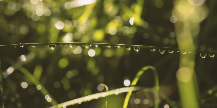 Россиян предупредили о возвращении дождей в четверг и пятницу