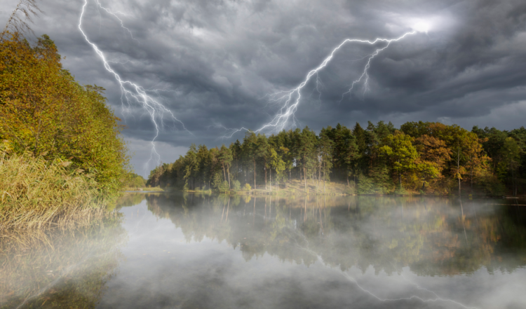 В пятницу в Рязанской области гроза и до +26 градусов