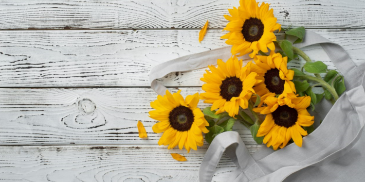 Синоптик Позднякова: выходные в Центральной России ожидаются умеренно теплыми