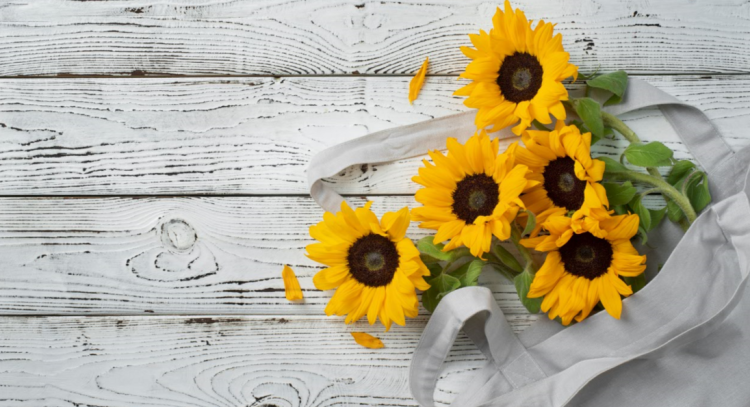 Синоптик Позднякова: выходные в Центральной России ожидаются умеренно теплыми