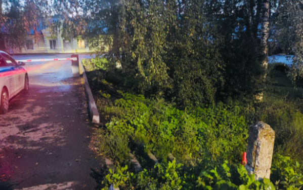 В Михайловском районе 17-летняя девушка упала с мотоцикла на полном ходу В Михайловском районе 17-летняя девушка упала с мотоцикла на полном ходу