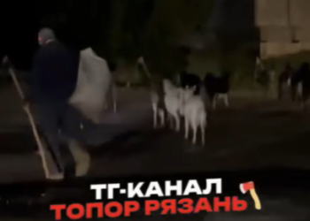 Ночью горожане засняли мужчину, выгуливающего коз в рязанской Горроще Ночью горожане засняли мужчину, выгуливающего коз в рязанской Горроще