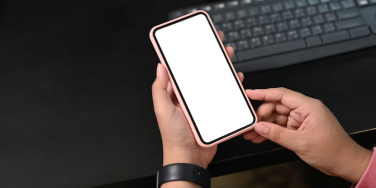 В Рязанской области заработал образовательный чат-бот «Образование62» В Рязанской области заработал образовательный чат-бот «Образование62»