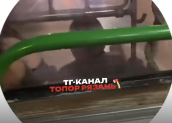 На рязанских дорогах засняли двух зацеперов