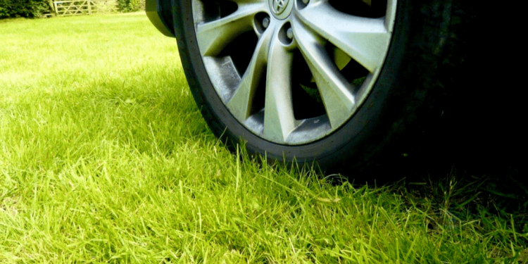 С начала 2025 года в Рязани оштрафовали 8538 водителей-нарушителей за парковку на газонах