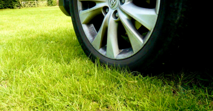 С начала 2025 года в Рязани оштрафовали 8538 водителей-нарушителей за парковку на газонах