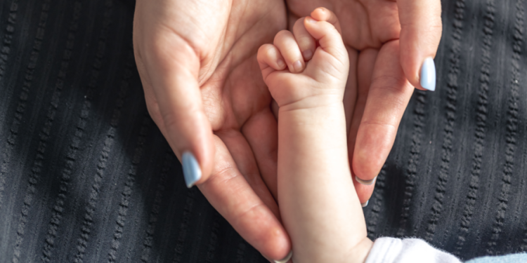 В августе в Рязанской области на свет появились Элика, Мэри и Альбина