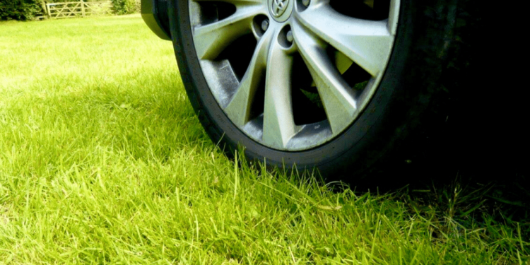 С начала 2025 года в Рязани за парковку на газонах оштрафовали 8 857 водителей-нарушителей