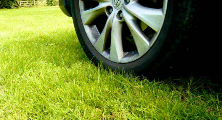 С начала 2025 года в Рязани за парковку на газонах оштрафовали 8 857 водителей-нарушителей