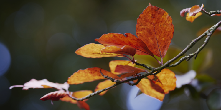 Тишковец предупредил россиян об октябрьском холоде