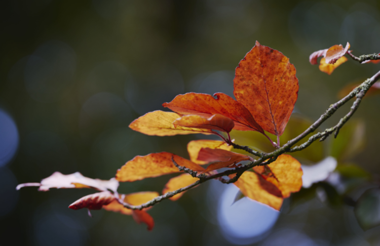 Тишковец предупредил россиян об октябрьском холоде