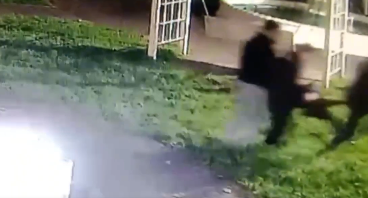 В рязанском поселке Гусь-Железный подростки украли скульптуру гуся