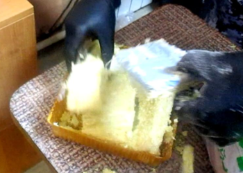 В рязанскую ИК-6 попытались пронести 8 мобильников в торте В рязанскую ИК-6 попытались пронести 8 мобильников в торте