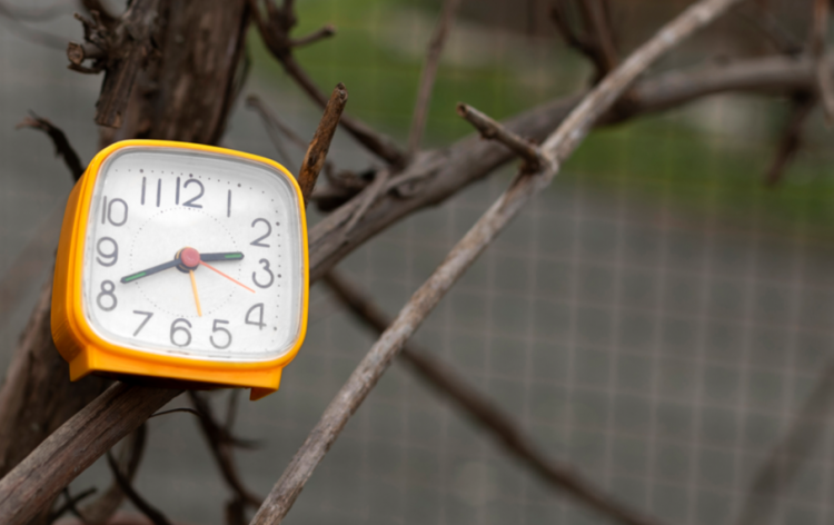 С 1 октября в Рязанском регионе изменилось время комендантского часа