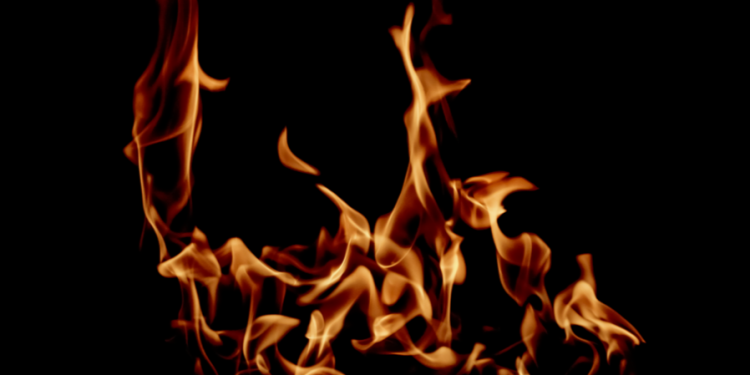 В Рязанской области отменили особый противопожарный режим В Рязанской области отменили особый противопожарный режим