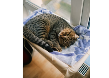 Тарасюк: перерасчет платы за отопление рязанцам проведут автоматически Тарасюк: перерасчет платы за отопление рязанцам проведут автоматически