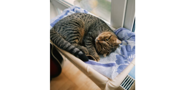 Тарасюк: перерасчет платы за отопление рязанцам проведут автоматически Тарасюк: перерасчет платы за отопление рязанцам проведут автоматически