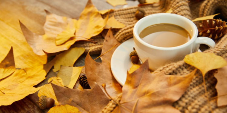 Позднякова: в предстоящие выходные в Центральной России будет комфортная погода