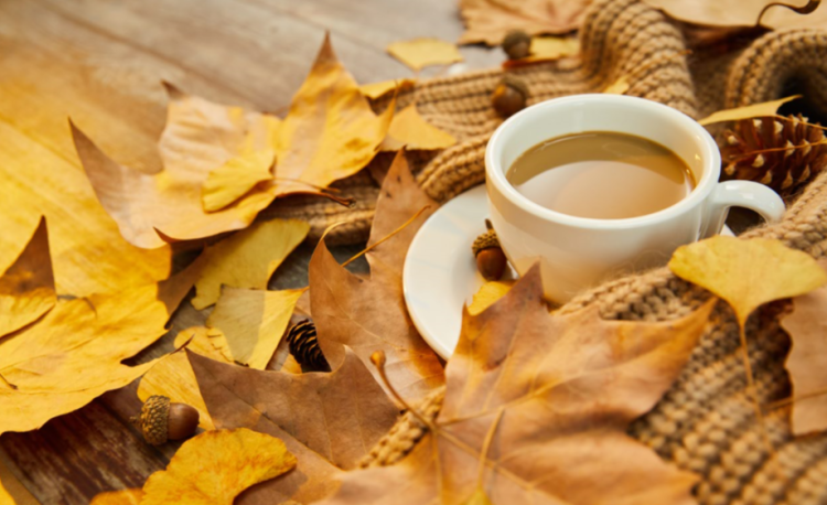 Позднякова: в предстоящие выходные в Центральной России будет комфортная погода