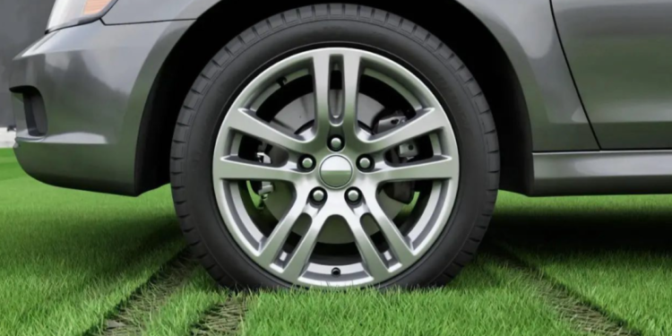 С начала года за парковку на газонах оштрафовали 9874 водителя-нарушителя