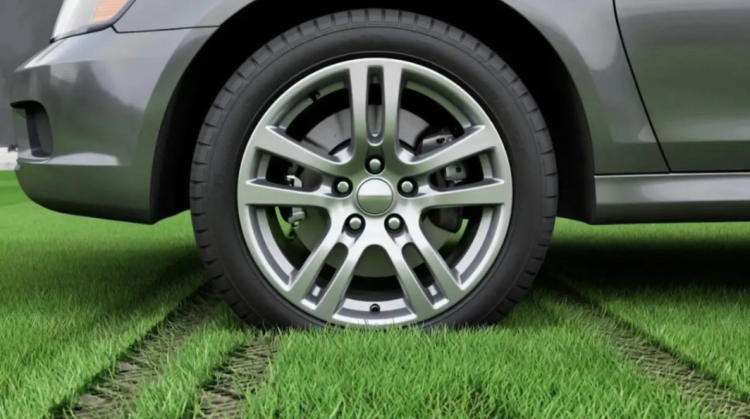 С начала года за парковку на газонах оштрафовали 9874 водителя-нарушителя