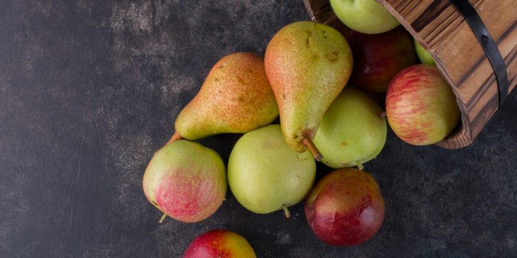 На ярмарках выходного дня в Рязани горожане купили 2 тонны яблок и груш