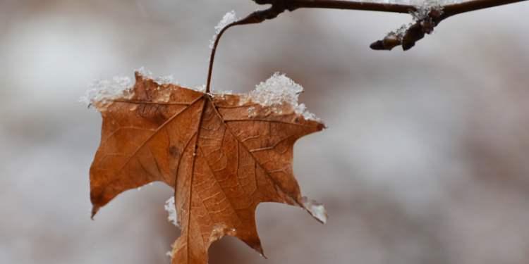 Жителей Центральной России предупредили о первом снеге в октябре