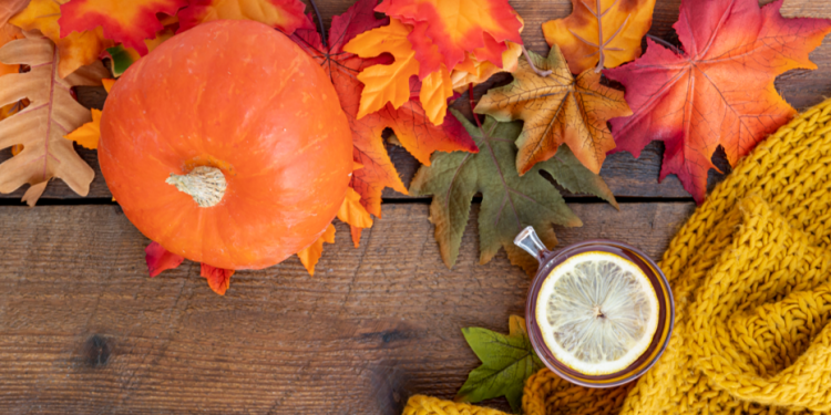 Во вторник в Рязанской области похолодает до +9 градусов