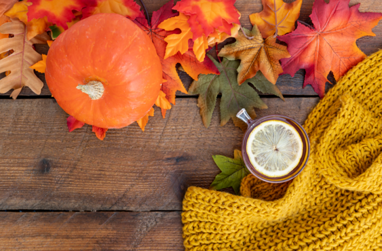 Во вторник в Рязанской области похолодает до +9 градусов