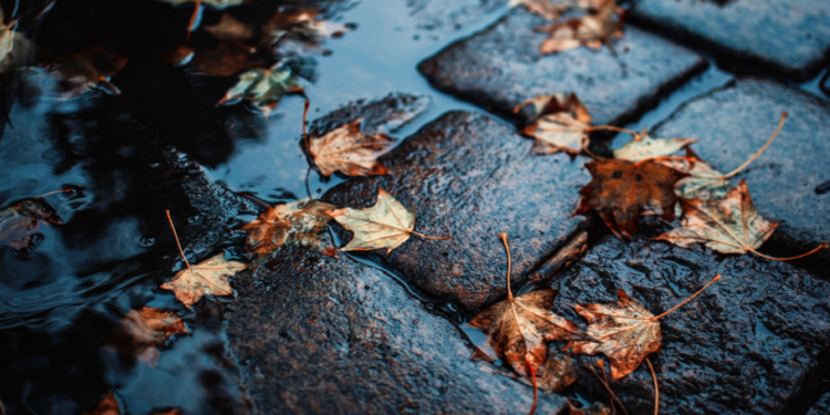 Синоптик Ильин: россиян ждут испытания дождем и мокрым снегом на текущей неделе