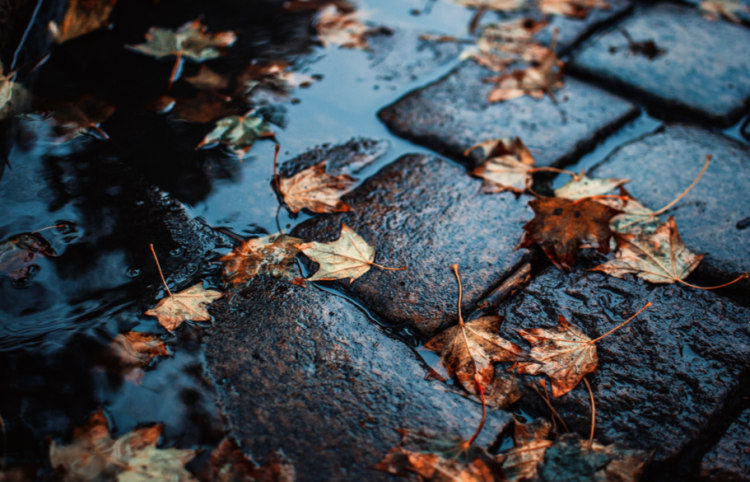 Синоптик Ильин: россиян ждут испытания дождем и мокрым снегом на текущей неделе