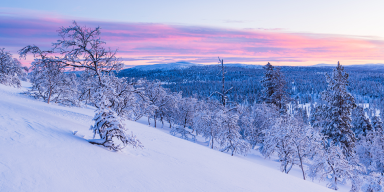 Вильфанд предупредил россиян о выпадении снега на текущей неделе