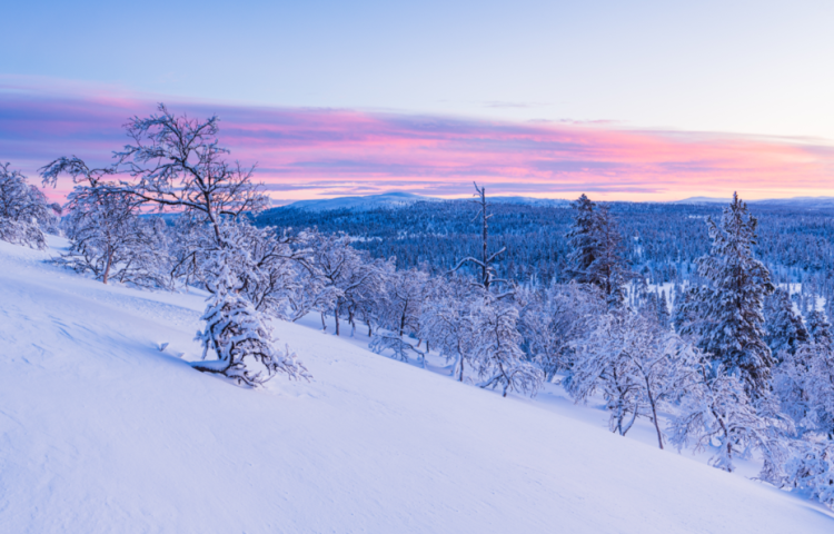 Вильфанд предупредил россиян о выпадении снега на текущей неделе
