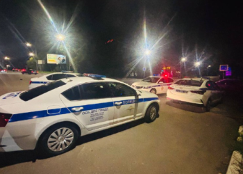 За прошедшие сутки рязанские полицейские выявили 6 автомобилей с подложными номерами