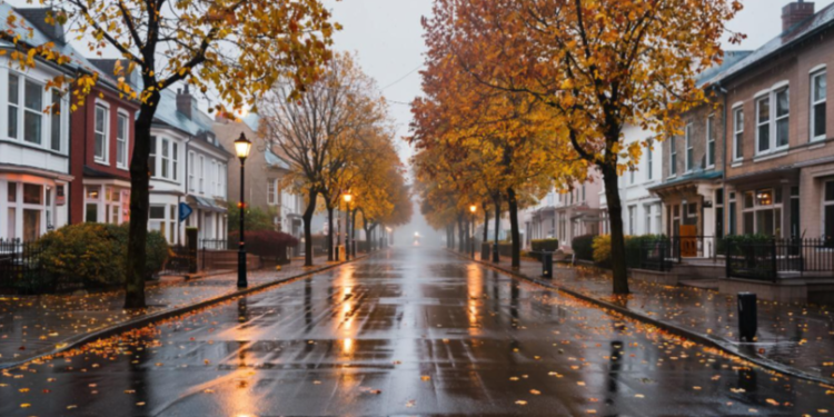 В четверг в Рязанской области ожидается небольшой дождь и до +9 градусов